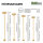 Pole Dance Tanzstange Gold Profi 231 - 274 cm Ø 45 mm Tabledance Static & Spinning ohne Bohren