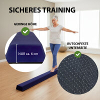 Schwebebalken klappbar Länge 270 cm Tragkraft 100 kg Balancierbalken inkl. Tragetasche in blau