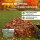 Gartenkomposter werkzeugloser Aufbau 90 × 90 cm Stahldraht pulverbeschicht 10 × 4 cm Maschenweite