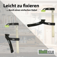 4x Einhandzwinge 80kg Spannkraft 16cm Spannbereich Aluminium Schnellspannzwinge