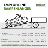 TRUTZHOLM 1x Auffahrrampe Alu starr Länge 120 cm Traglast 272 kg Verladerampe Motorradrampe