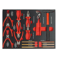 Profi Werkzeugeinlage Werkstattwagen 52x40 cm mit...