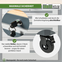 Werkstattwagen mit 254-tlg. Werkzeugset, 7 Schubladen, Holzplatte und 6 Werkzeugeinlagen