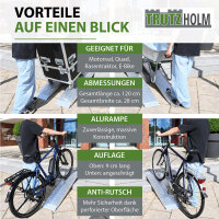 TRUTZHOLM 2x Auffahrrampe Alu starr Länge 120 cm Traglast 544 kg Verladerampe Motorradrampe