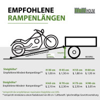 TRUTZHOLM 2x Auffahrrampe Alu starr Länge 120 cm Traglast 544 kg Verladerampe Motorradrampe