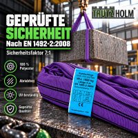 TRUTZHOLM Rundschlinge 1000 kg 4 m Umfang / 2 m Nutzlänge lila - nach EN 1492-2